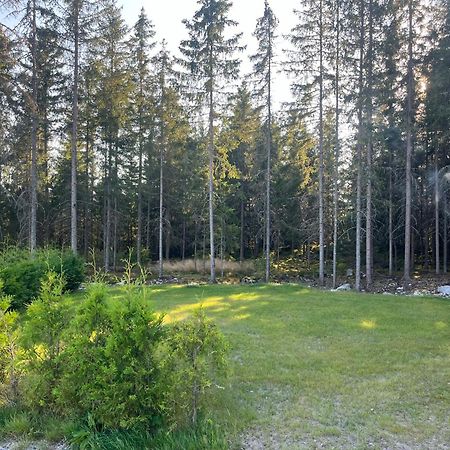 Gaeststuga 100M Fran Sjoen Vislanda Exterior foto